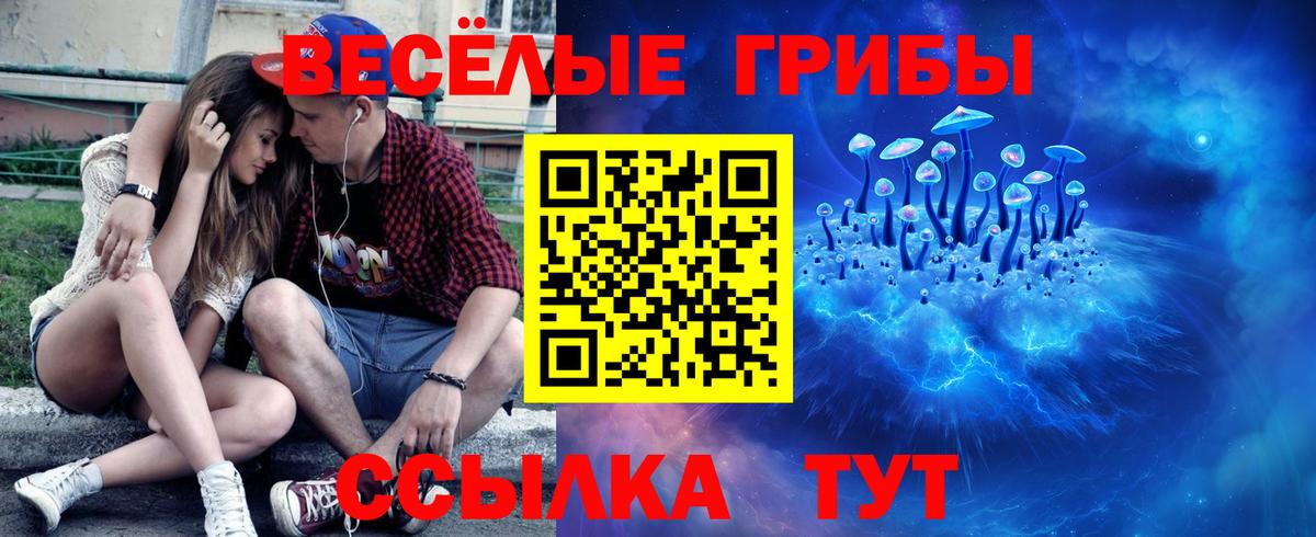 Новотроицк  Псилоцибиновые грибы прущие грибы  Вход с VPN  Псилоцибиновые грибы Cubensis 